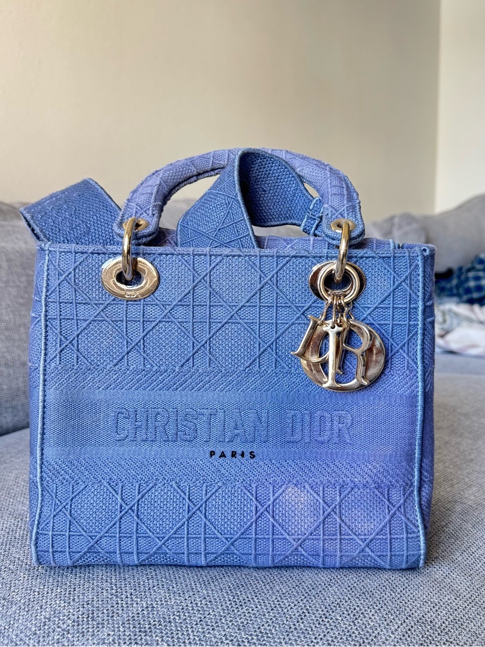 Christian Dior Canvas Embroidered Cannage Medium Lady D-Lite Blue